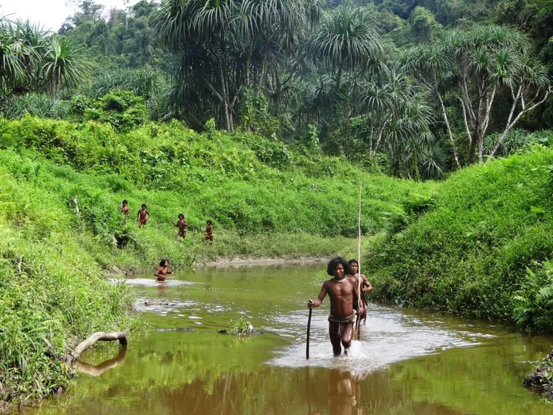 Survival International - THE GERE FOUNDATION